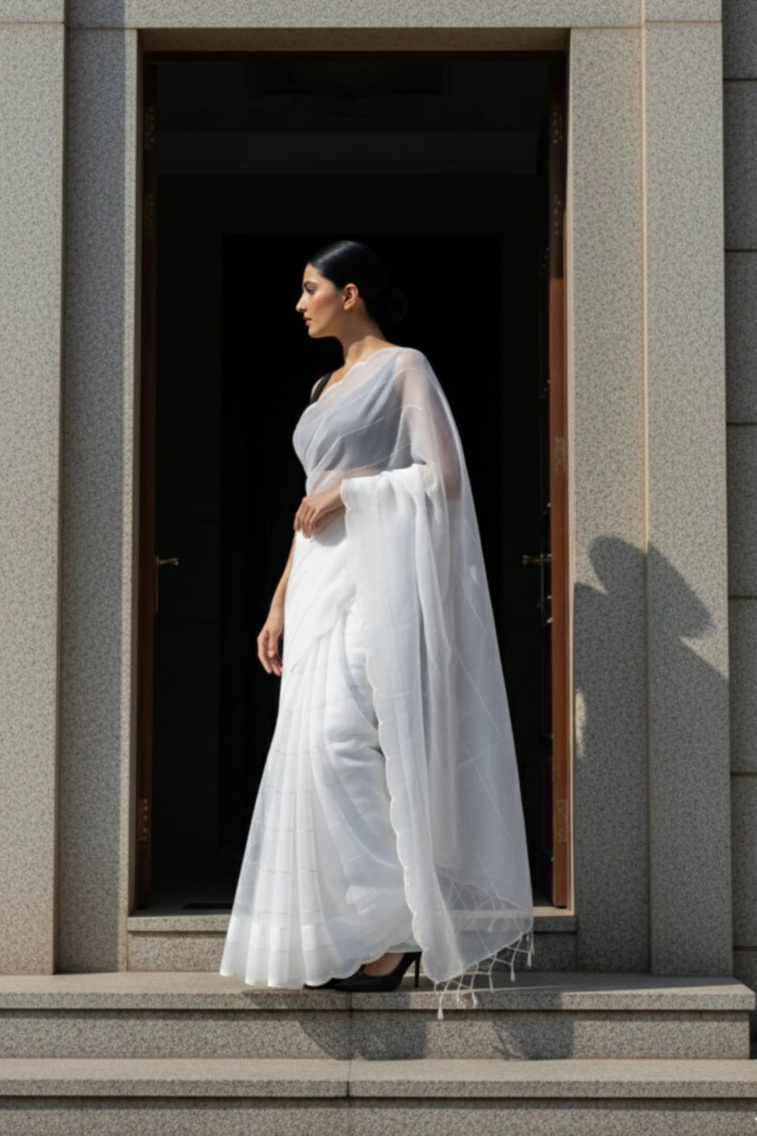 RAWHIDE | Organza | Indidha Saree