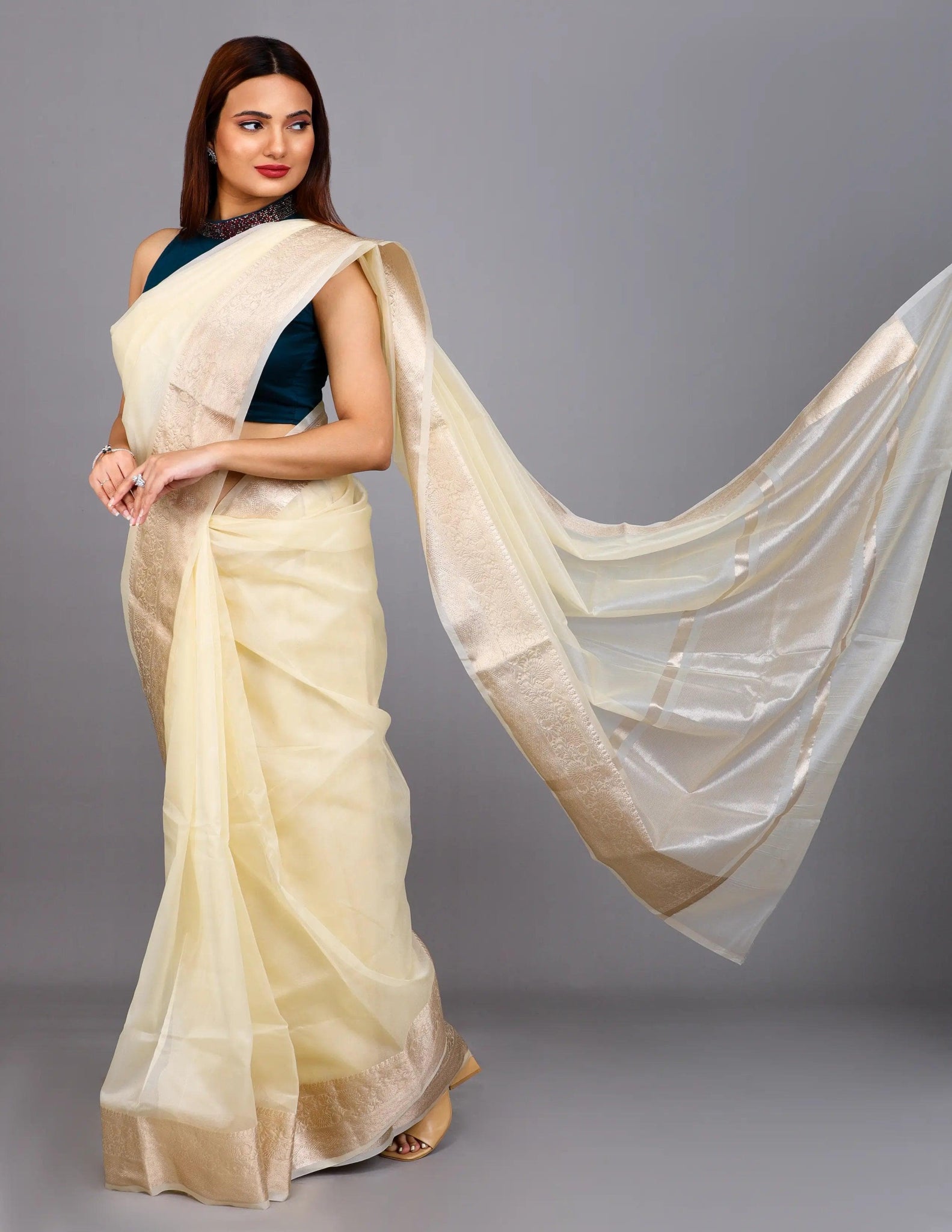 OPAL | Organza with Banarasi Border | Indidha Saree