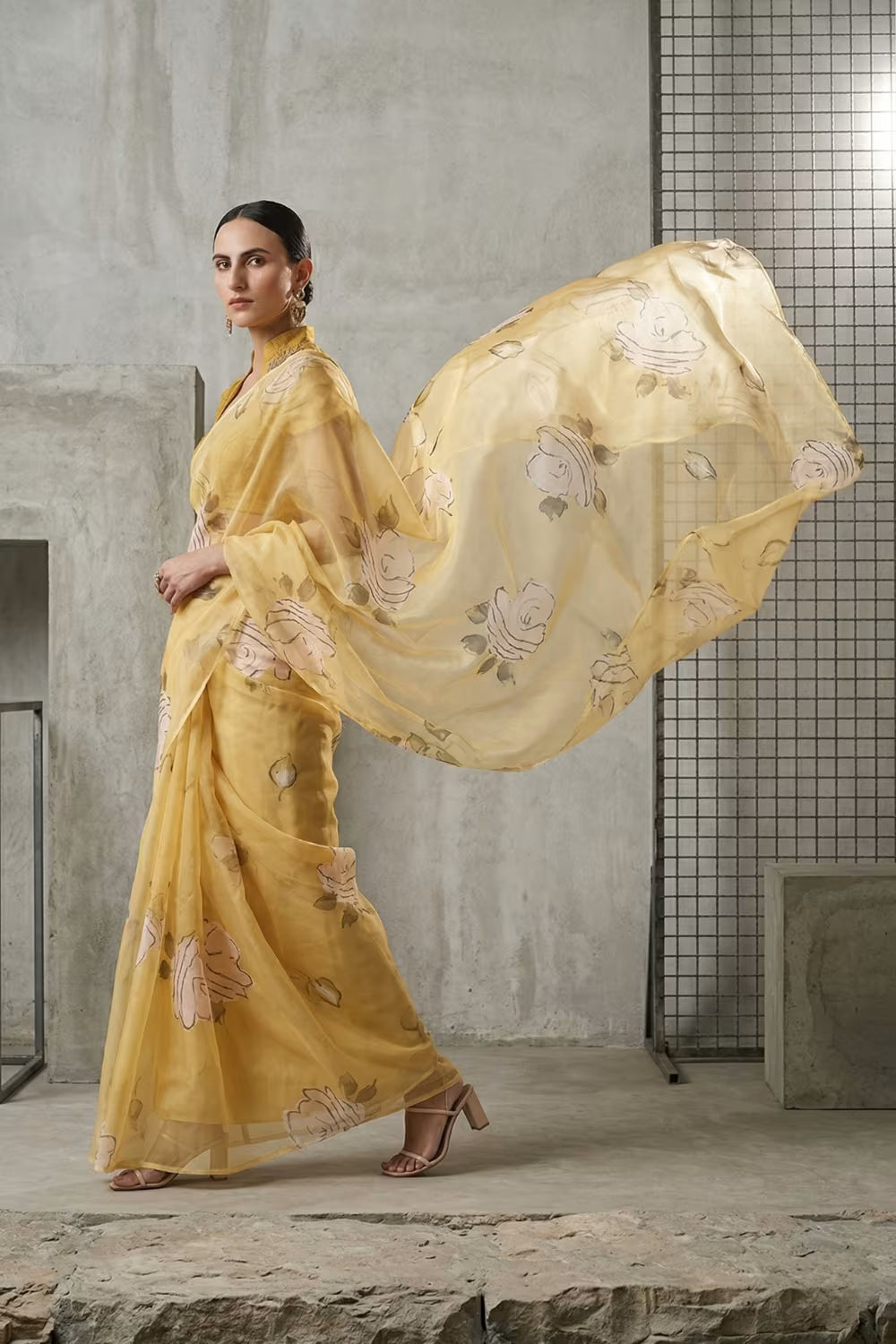 HAZARON KHWAHISEN | Organza | Indidha Saree