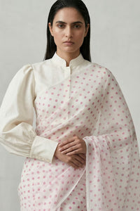 POLKA MORNING | Handpainted Organza | Indidha Saree