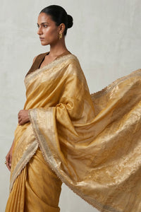 Golden Hour Grace | Tissue | Indidha Saree