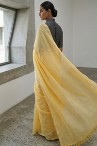 SUNNY DELIGHT | Cotton | Indidha Saree