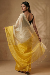 HONEYDEW | Handloom Tissue | Indidha Saree