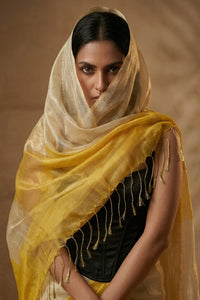 HONEYDEW | Handloom Tissue | Indidha Saree