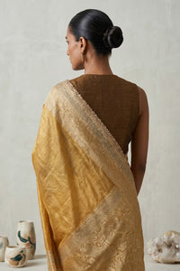 Golden Hour Grace | Tissue | Indidha Saree