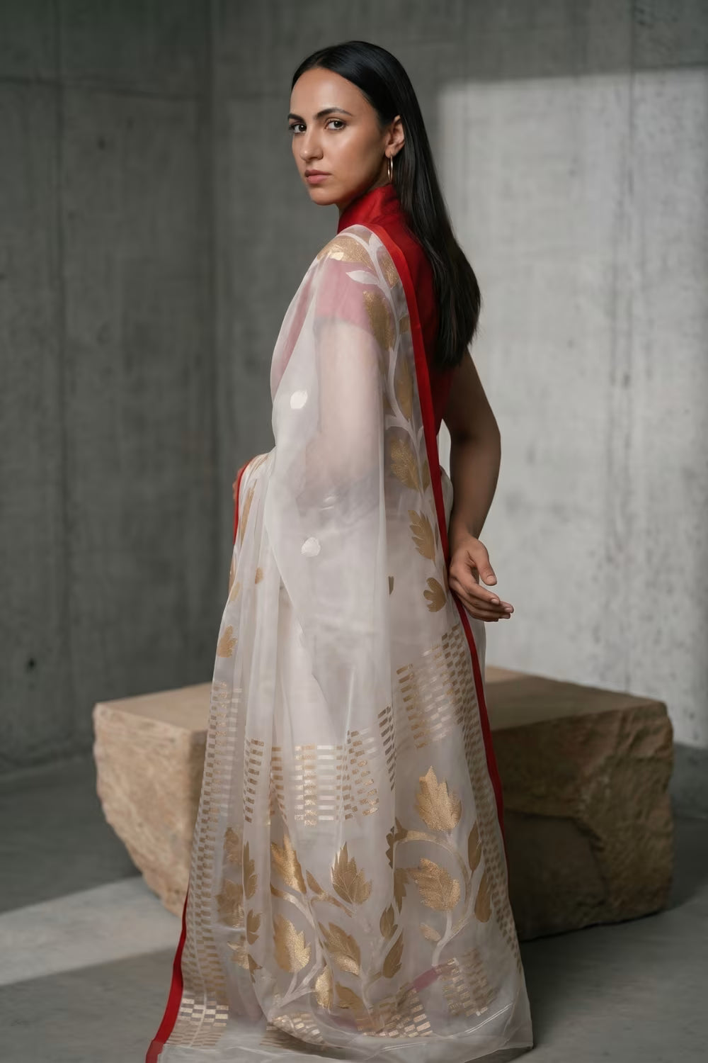 NOOR-E-NAZAKAT | Muslin Jamdani | Indidha Saree