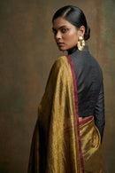 Tamaara | Tissue | Indidha Saree