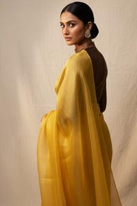 Melted Sun | Tissue | Indidha Saree