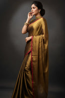 Tamaara | Tissue | Indidha Saree