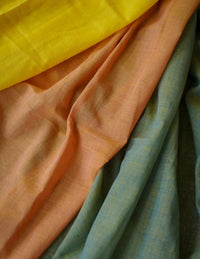 FOREST GUMP | Cotton | Indidha Saree