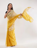 HONEYDEW | Handloom Tissue | Indidha Saree