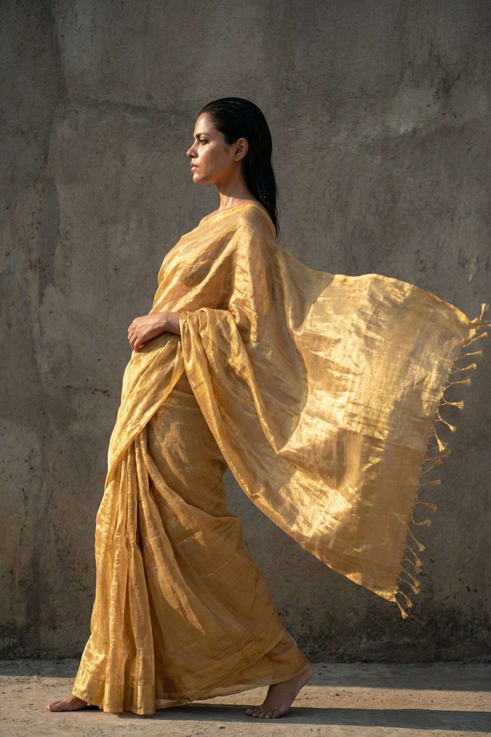 Inner Halo | Tissue | Indidha Saree