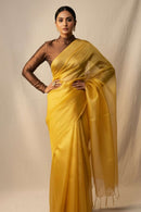 Melted Sun | Tissue | Indidha Saree