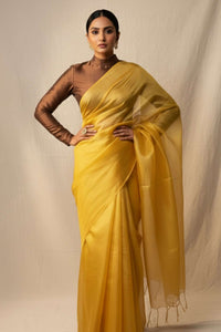 Melted Sun | Tissue | Indidha Saree