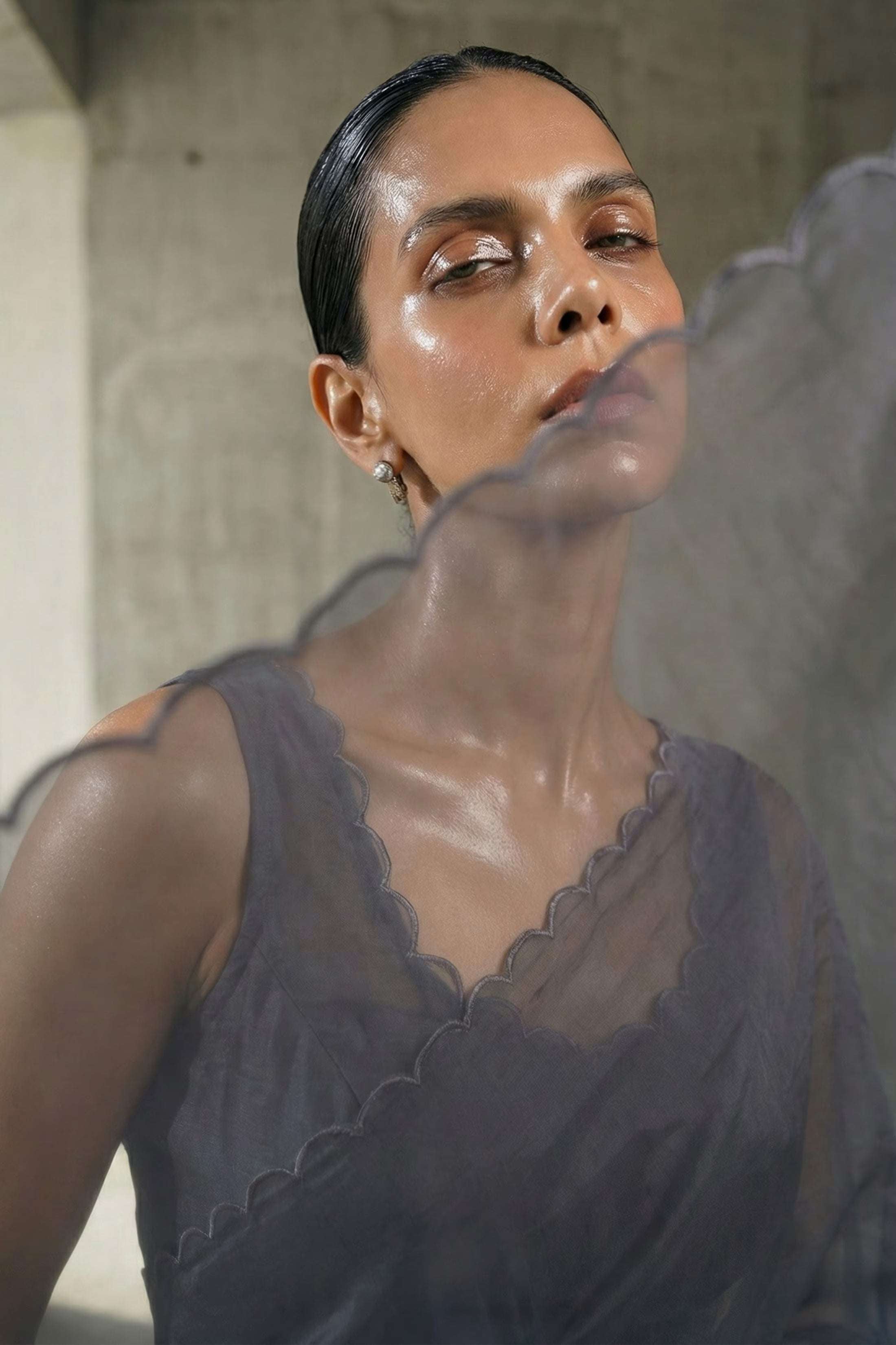 Steele Veil | Organza | Indidha Saree