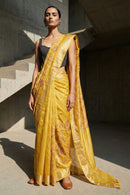 HALDI GLOW | Muga Silk | Indidha Saree