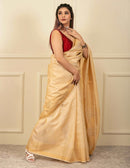 Virendra Silk Creations, CG Saree CARMELA | Tussar by Tussar | Indidha Saree