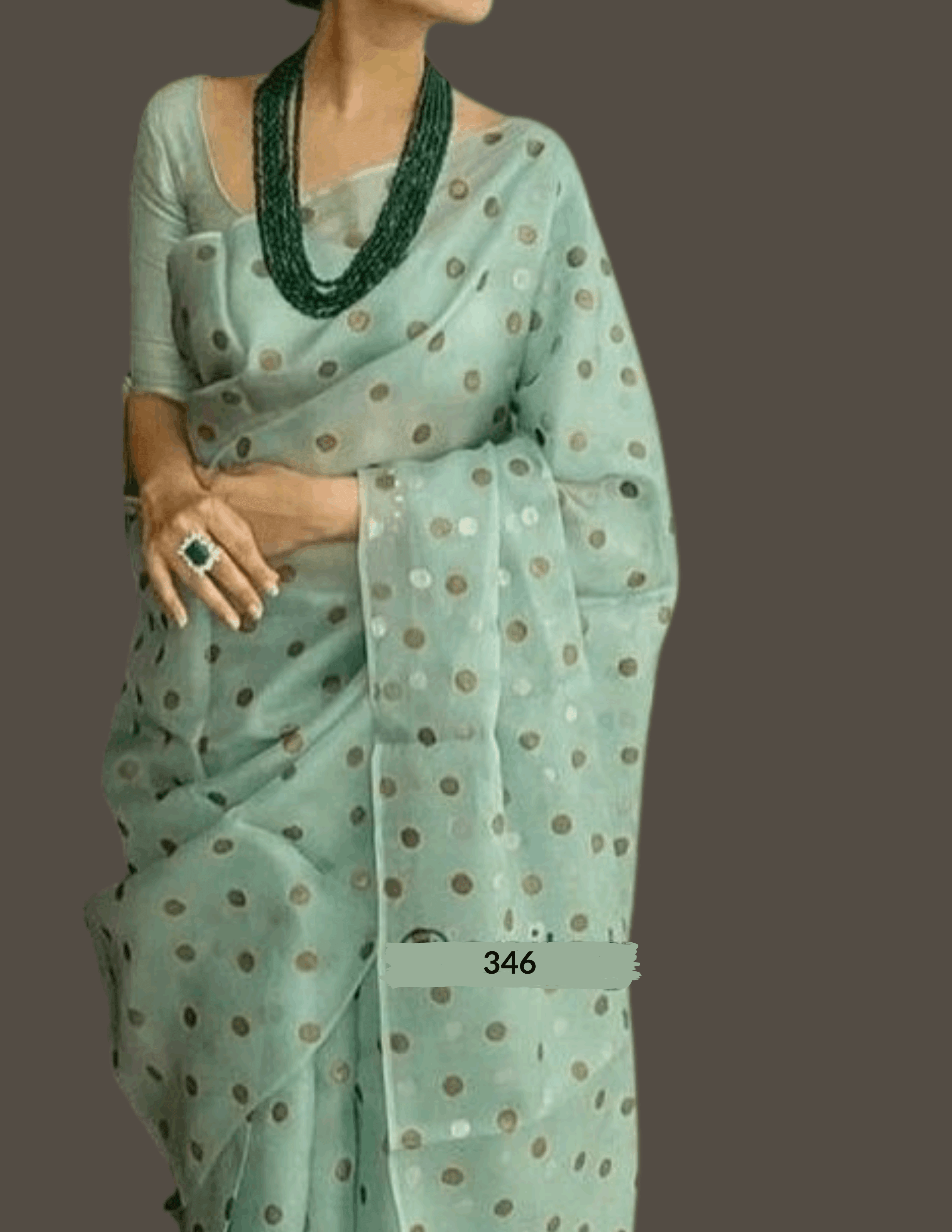 CHAND SITARA | Organza | Indidha Saree