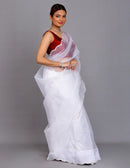 Ranchi Saree RAWHIDE | Organza | Indidha Saree
