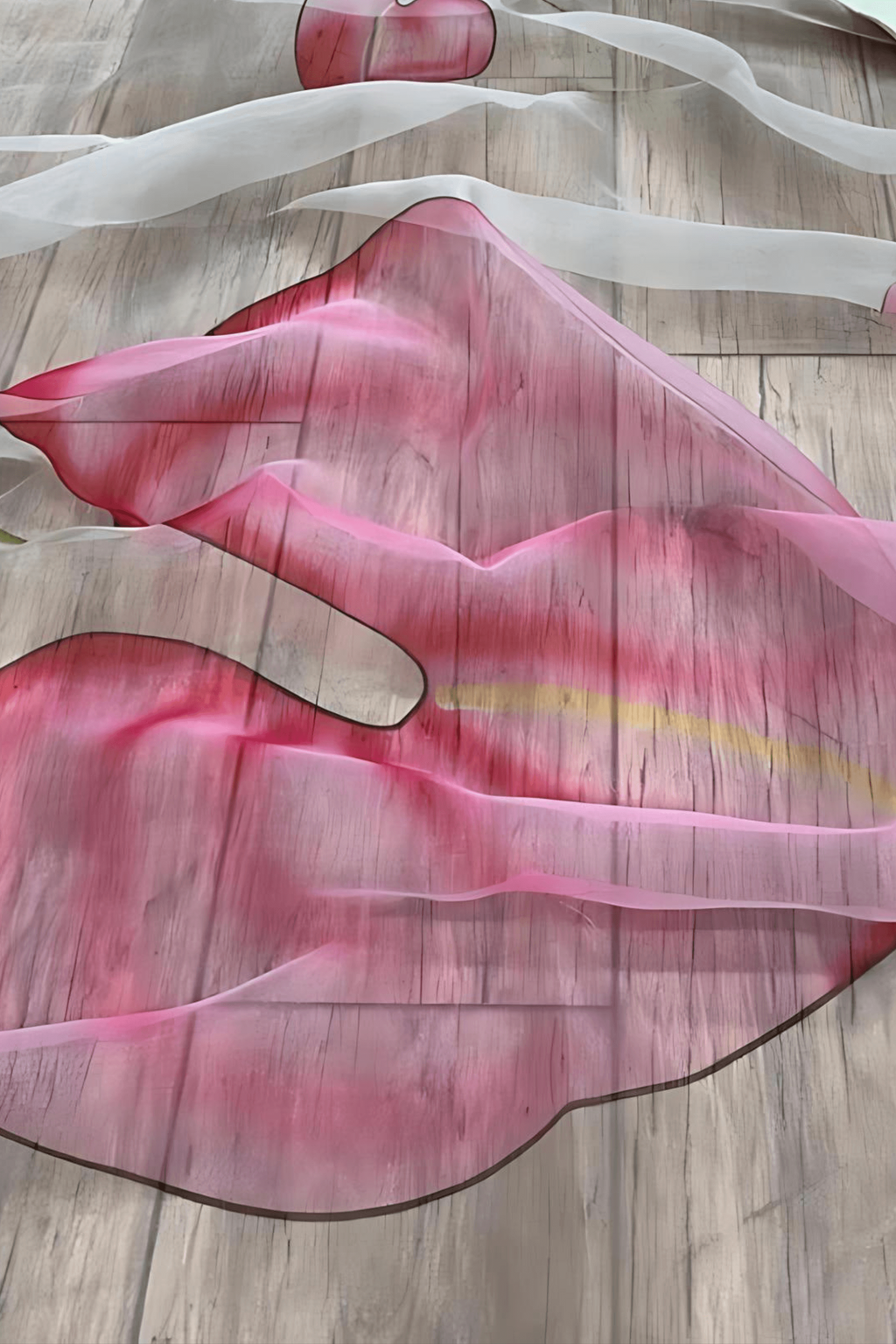 WHITE ROSE  | Organza | Indidha Saree