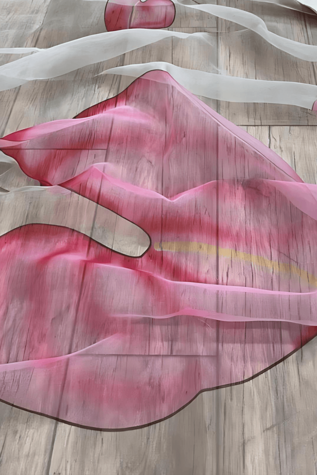 WHITE ROSE | Organza | Indidha Saree
