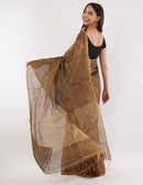 TRUCE SLATE | Handloom Linen Tissue | Indidha Saree