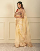 National Handloom, BGP Saree KOLAM | Organza with Banarasi Border | Indidha Saree