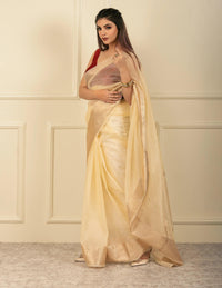 National Handloom, BGP Saree KOLAM | Organza with Banarasi Border | Indidha Saree