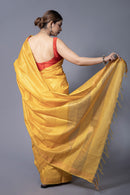 Bina Textile BGP Saree TARANA | Katan Silk | Indidha Saree
