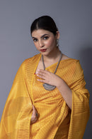 Bina Textile BGP Saree TARANA | Katan Silk | Indidha Saree
